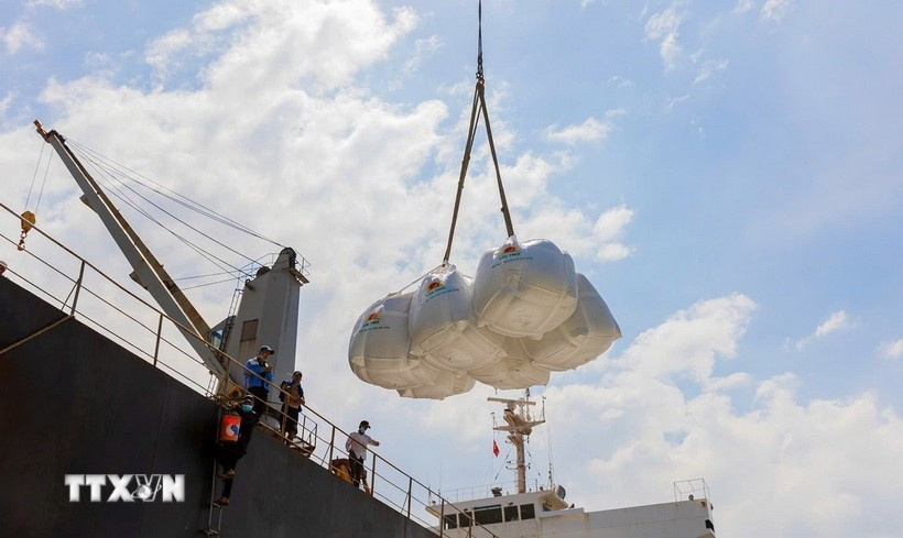 Vietnam exported about 5.5 million tonnes of rice, generating 2.81 billion USD, in the first seven months of 2025. (Photo: VNA)