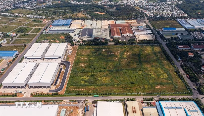 Agricultural land use tax exemption is extended until December 31, 2030. (Photo: VNA)