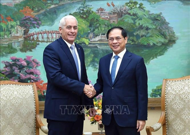 Deputy Prime Minister and Minister of Foreign Affairs Bui Thanh Son (R) receives Cuba's First Deputy Minister of Foreign Affairs Gerardo Penalver Portal in Hanoi on July 23. (Photo: VNA)