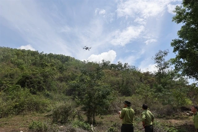 Forest rangers in Ba Ria – Vung Tau Province use a flycam to detect fires, forest encroachment and illegal logging. (Photo: VNA)