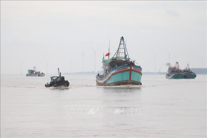 Ben Tre is intensifying efforts to combat illegal, unreported and unregulated (IUU) fishing. (Photo: VNA)