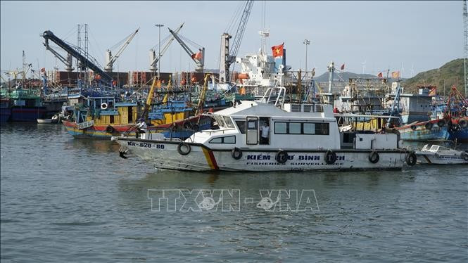 Competent forces patrol and inspect at Quy Nhon fishing port. (Photo: VNA)