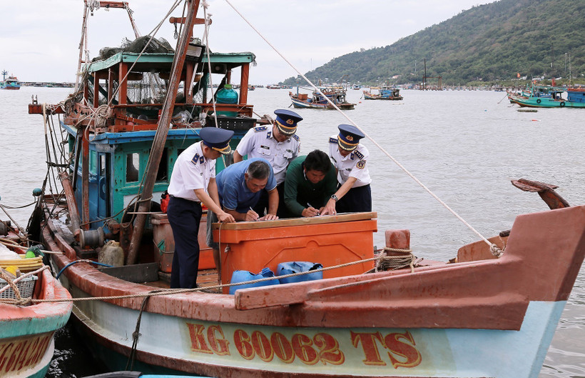 Owners of fishing vessels sign commitments not to engaging in illegal, unreported and unregulated (IUU) fishing. (Photo: VNA)
