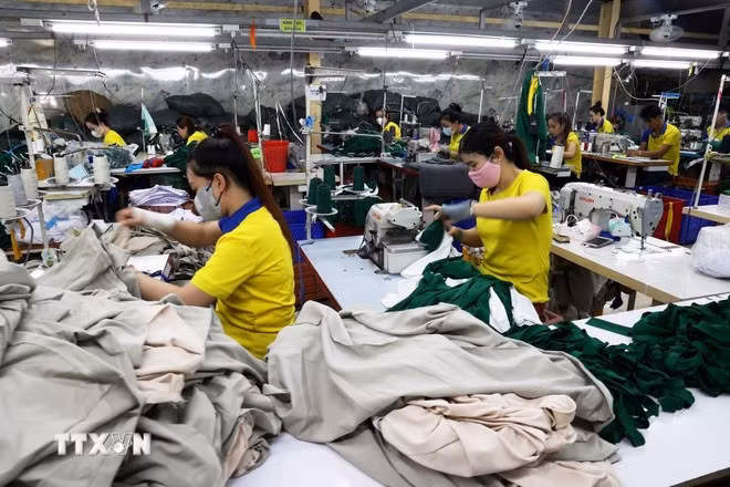 At a garment manufacturing workshop for export. (Illustrative photo: VNA)