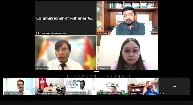 Participants in the online seminar (Screenshot photo: VNA)