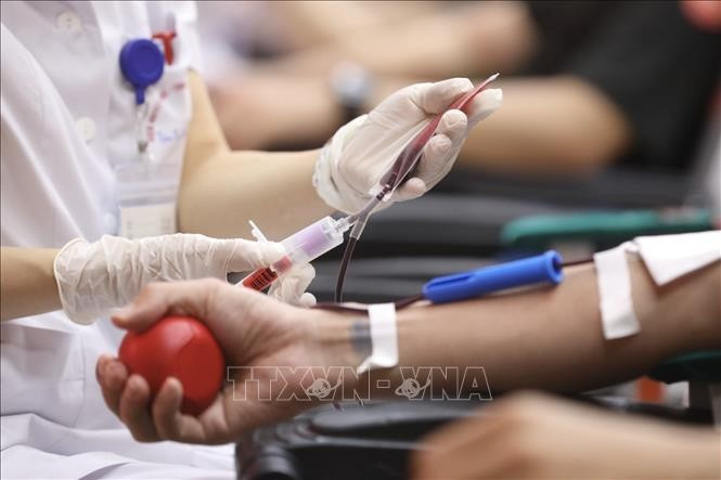 People donate blood at the National Institute of Haematology and Blood Transfusion in response to the “Grateful Drops” campaign. (File photo: VNA)