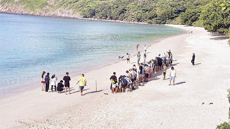 Tourists release turtles into the sea in Con Dao. (Photo: nhandan)