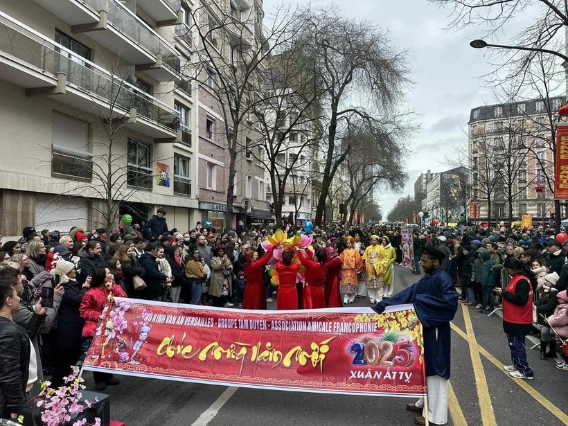 Vietnamese culture shines at Lunar New Year festival in France