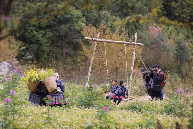 vna-potal-festival-khen-mong-le-hoi-hoa-to-day-dua-mu-cang-chai-tro-thanh-diem-den-du-lich-tieu-bieu-tay-bac-8510092.jpg