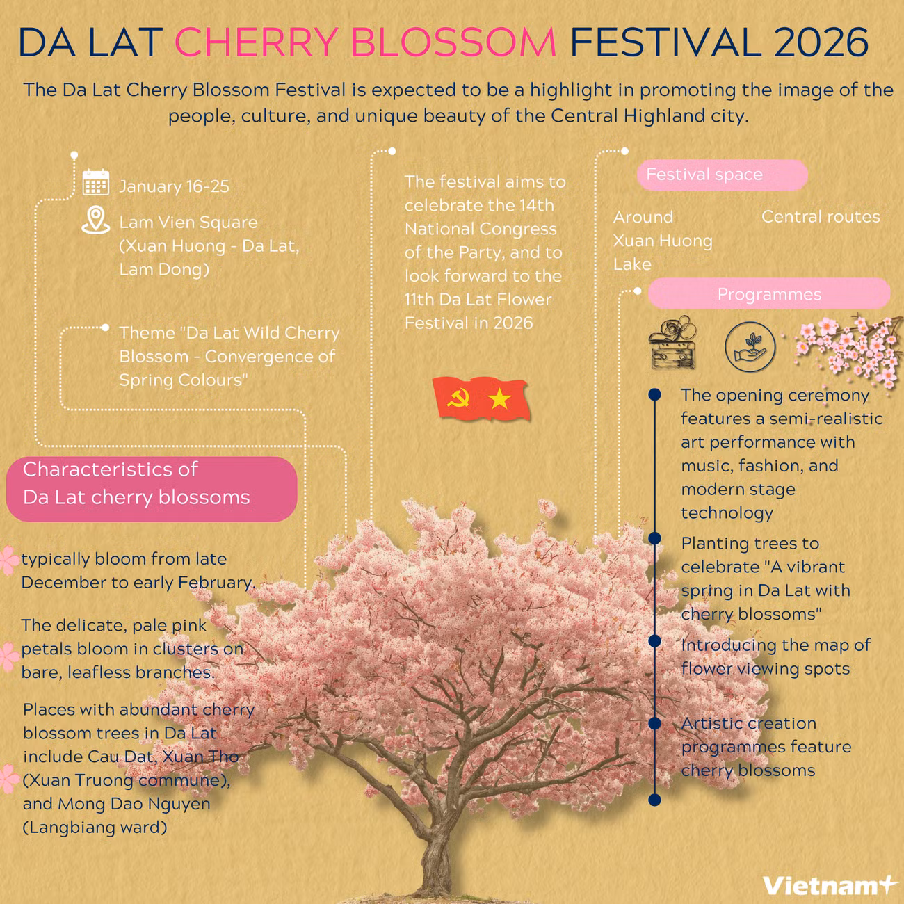 da-lat-cherry-blossoms.png