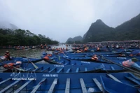 Tens of thousands of boats serve tourists. (Photo: VNA)