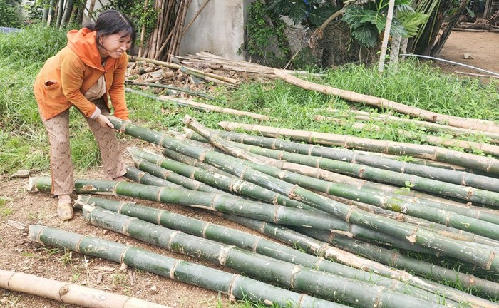Bamboo is the primary material used in making basket boats. (Photo: Phan The Huu Toan/ Public Security News)