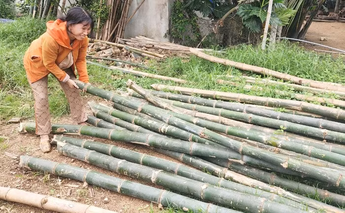 Bamboo is the primary material used in making basket boats. (Photo: Phan The Huu Toan/ Public Security News)