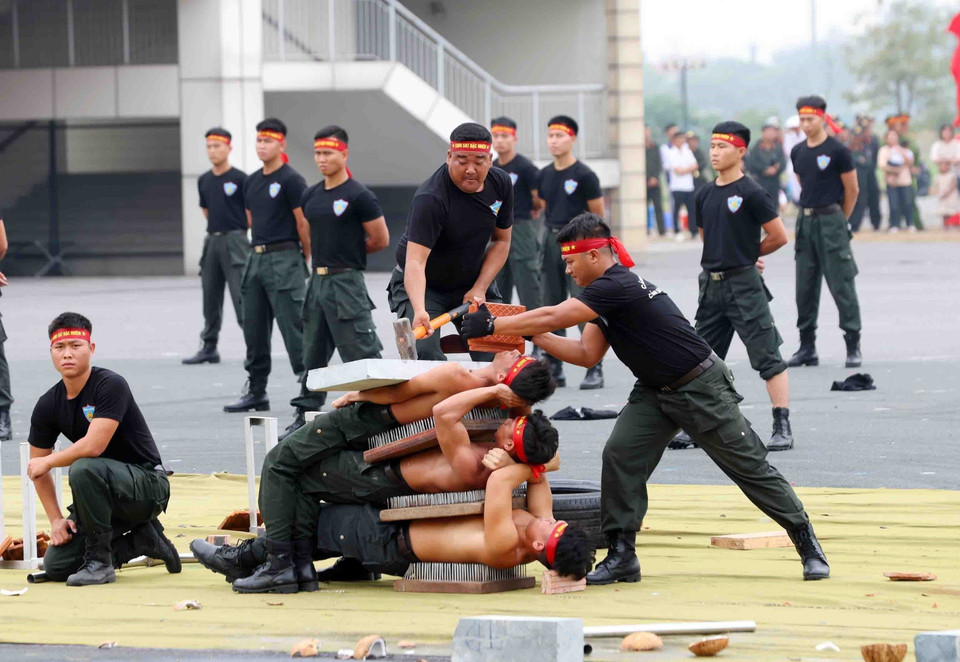 A martial arts performance by Mobile Police officers. (Photo: VNA)