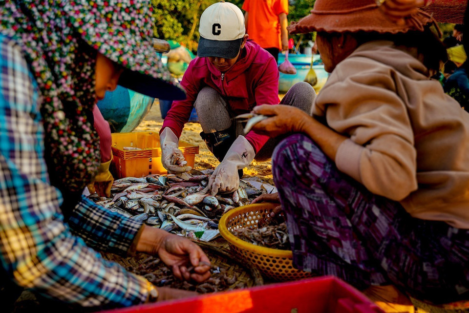 The market bustles with the familiar rush of coastal fishing villages. (Photo: VNA)
