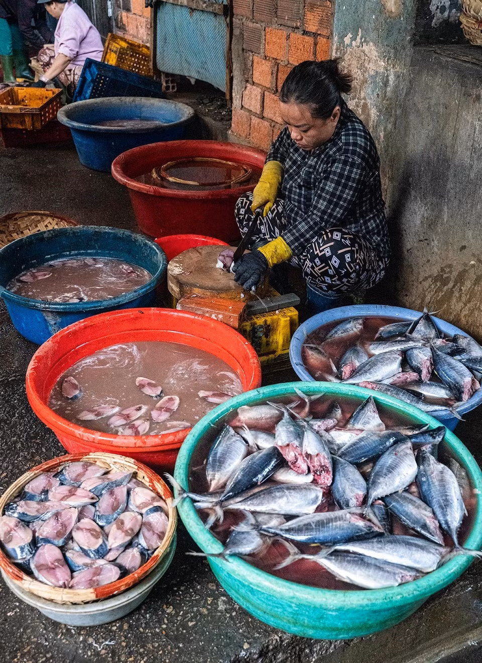 Cleaning the fish before placing them in the steamer. (Photo: VNA)
