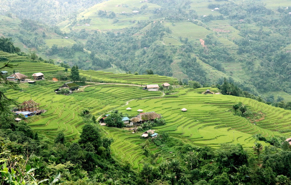 Mountains and forests of Thanh Thuy borderland, where moss-roofed houses nestle in the landscape. (Photo: VNA)