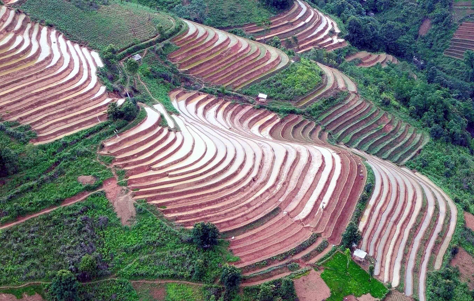 Paddy fields are ready for rice plantation. (Photo: VNA)