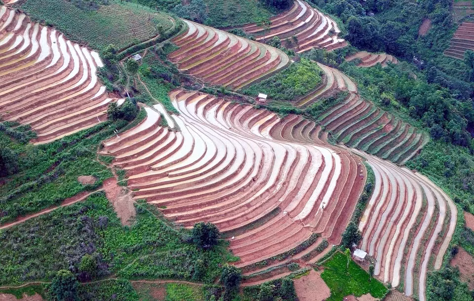 Paddy fields are ready for rice plantation. (Photo: VNA)