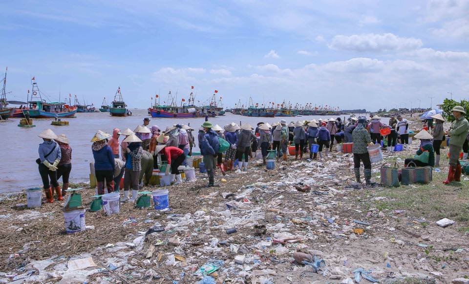 Giao Hai fish market convenes twice a day right by the sea, making seafood trading and transportation more convenient. (Photo: VNA)