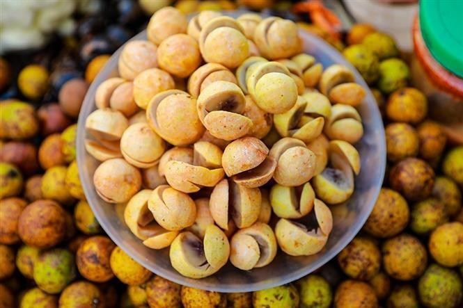 Ripe Indochina dragonplum – with its gently sweet and tangy flavour – is one of Hanoi’s most beloved seasonal treats. (Photo: VNA)