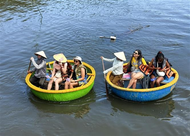 Foreign tourists enjoy basket boat rides through the Cam Thanh nipa palm forest. (Photo: VNA)
