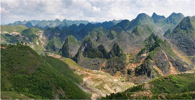 The majestic beauty of the Dong Van Karst Plateau. (Photo: VNA)