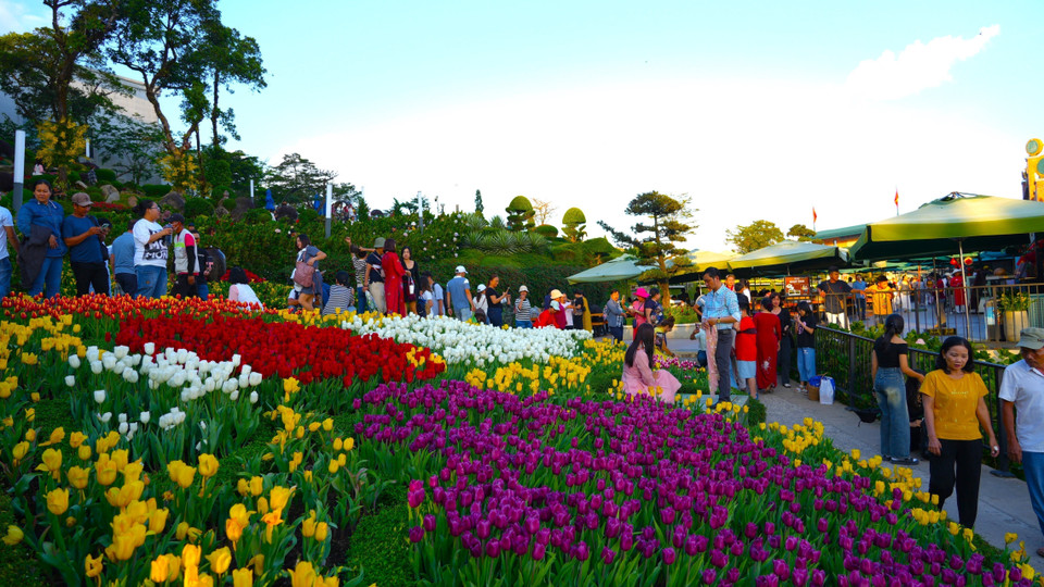 The colorful tulip garden on Ba Den Mountain attracts flocks of tourists, who come to take photos and enjoy the fresh air. (Photo: VNA)