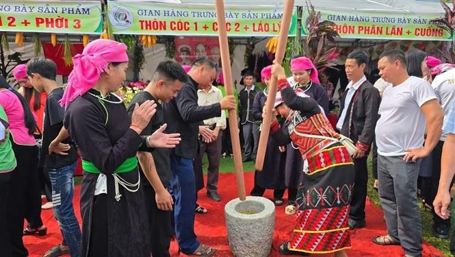 The traditional green sticky rice pounding contest re-enacts the craft of making green sticky rice and honours the diligent hands of Hop Thanh residents. (Photo: VNA)