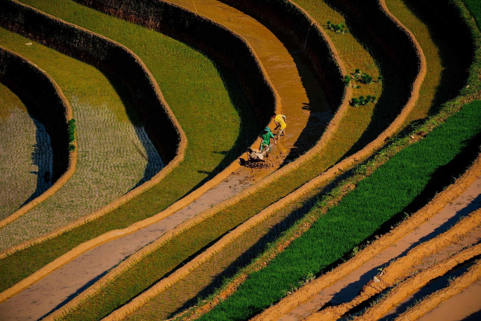 The beauty of terraced fields during the water-pouring season in Mu Cang Chai commune, Lao Cai province. (Photo: VNA)