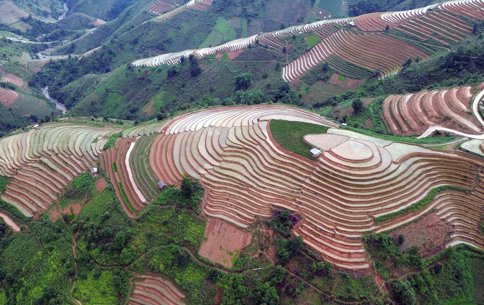 Terraced fields are a highlight of the Northwest mountains and forests, especially during the time when the rice is ripe for harvest and the season of pouring water. (Photo: VNA)