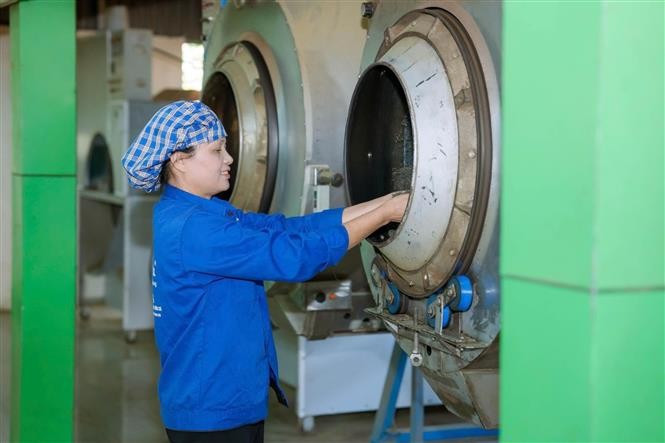 Artisan Nguyen Thi Hai at the production workshop of La Bang Tea Cooperative. (Photo: VNA)