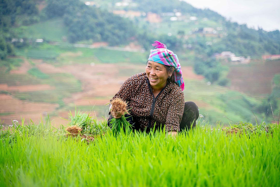 The water-pouring season also marks the start of the new rice crop for local farmers. (Photo: VNA)