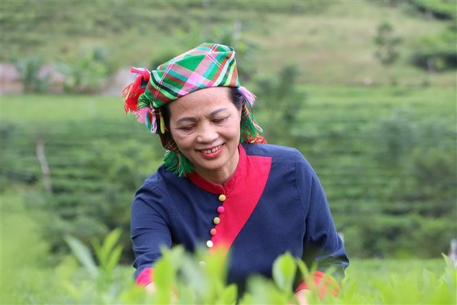 Artisan Nguyen Thi Hai, Chairwoman of the Board of La Bang Tea Cooperative in La Bang commune, Thai Nguyen province, proudly receives the 2025 Vietnam Women’s Award. (Photo: VNA)