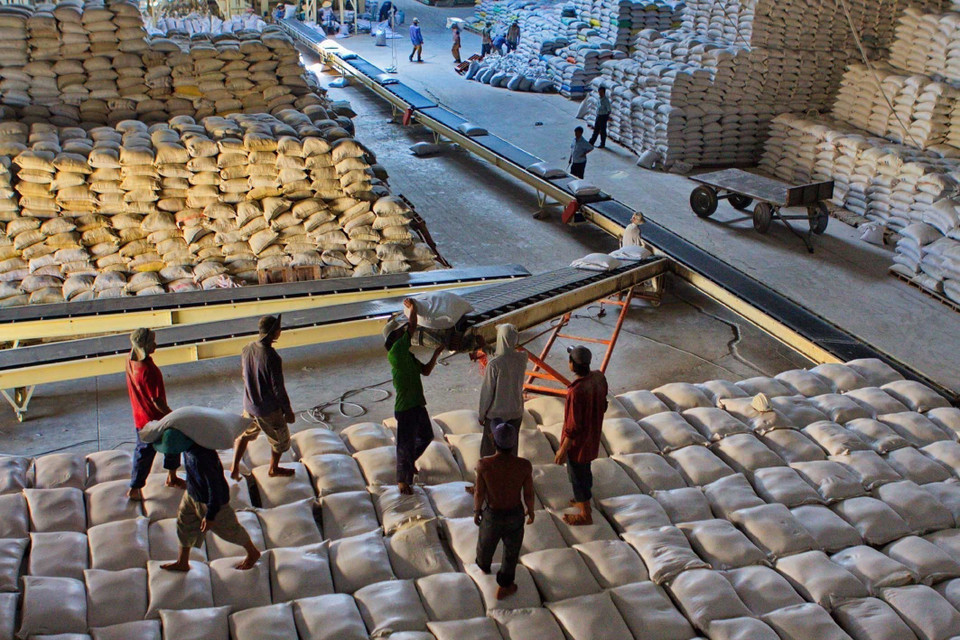 Senegal is emerging as a potential market for Vietnam’s rice exports. (Photo: VNA)