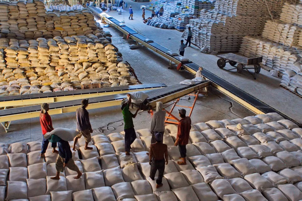 Senegal is emerging as a potential market for Vietnam’s rice exports. (Photo: VNA)