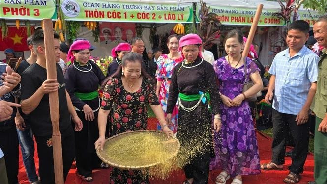 Visitors experience making green sticky rice at the festival. (Photo: VNA)