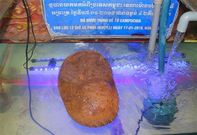 A stone that can float on water, brought to the pagoda in 2018. (Photo: VNA)