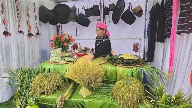 A booth displaying Hop Thanh green sticky rice products, showcasing the uniqueness of local cuisine. (Photo: VNA)