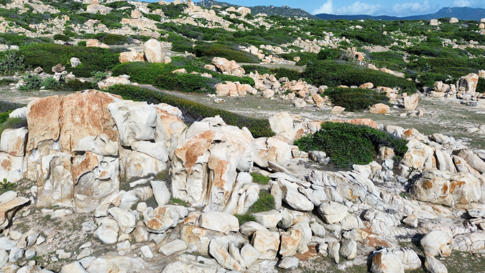 The park features a dry forest ecosystem and coastal rocky mountains, typical of Nui Chua National Park. (Photo: VNA)