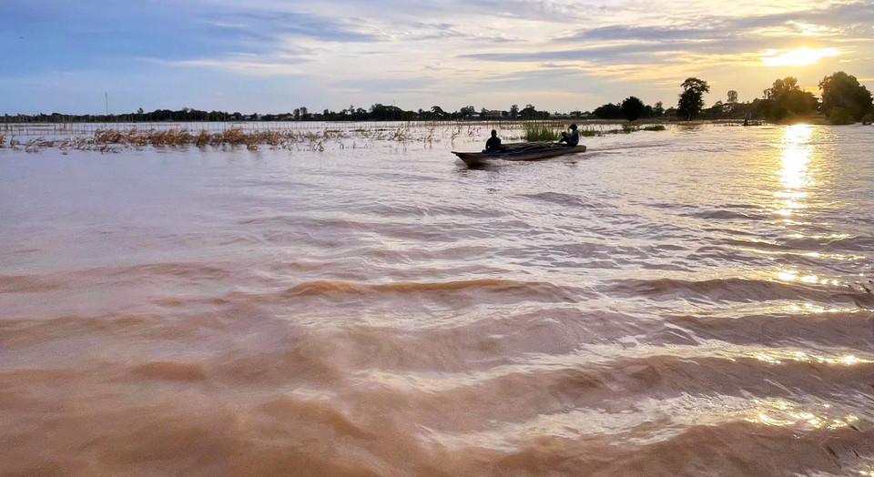 From the upper Mekong River, lady carp fish follow the alluvial flow downstream to the southwest of Vietnam, growing along their journey and becoming a famed delicacy unique to the flood season. (Photo: VNA)