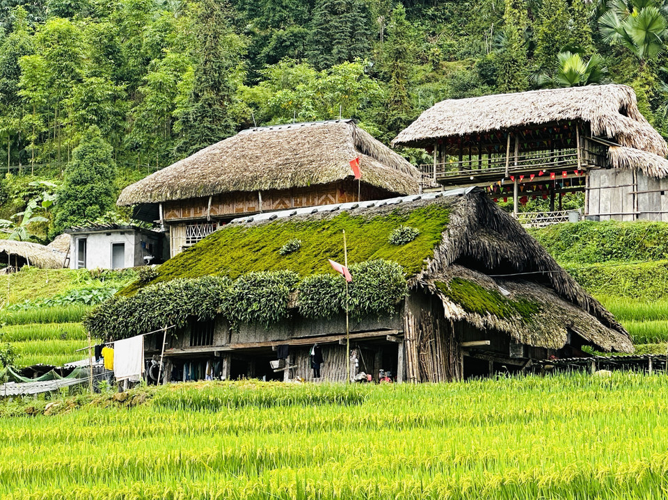 Moss-covered roofs are easily spotted amid the forests of Thanh Thuy border commune. (Photo: VNA)