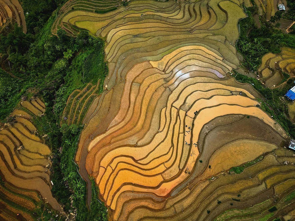 Terraced fields atop mountain peaks are the result of generations of labour. In photo: Water-covered terraces in Lao Chai commune, Lao Cai province. (Photo: VNA)