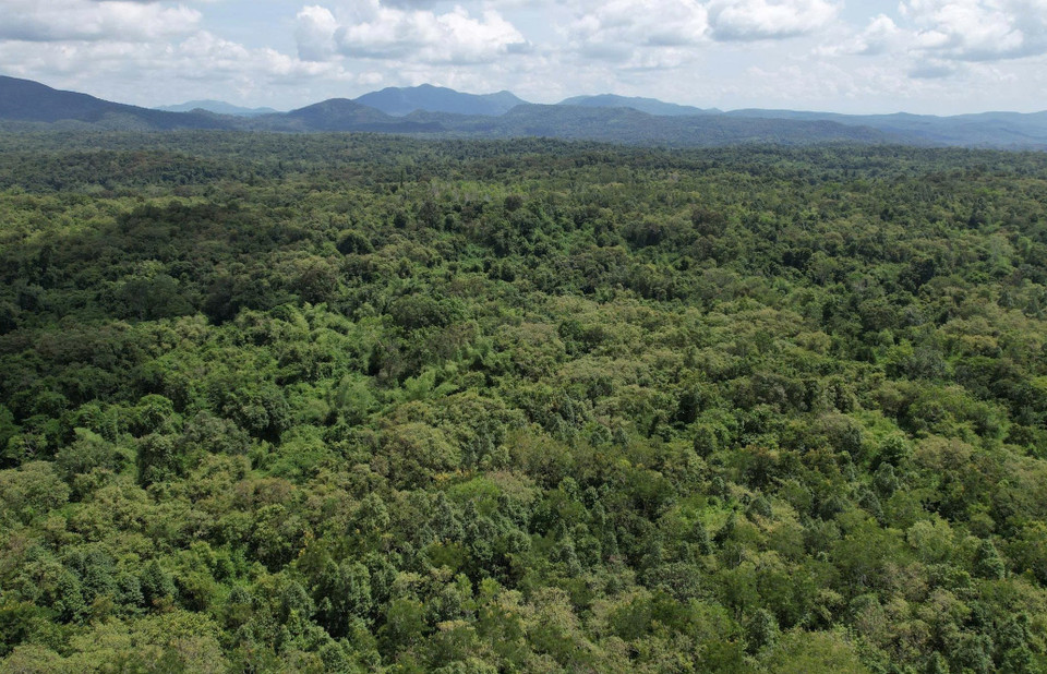 Ea So Nature Reserve covers an area of 26,848 hectares. (Photo: CCD/VNA)