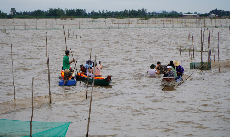 Tourists exploring the flooded fields in Giong Bang hamlet, Thuong Phuoc commune. (Photo: VNA)