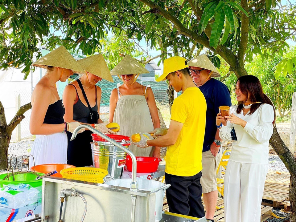 Foreign visitors enjoy making mango-based products under the shade of century-old mango trees in Cam Lam, Khanh Hoa. (Photo: VNA)