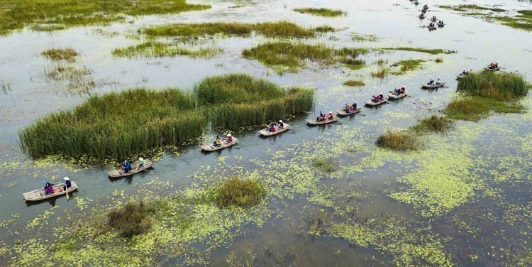 Van Long Lagoon, Gia Vien District (Ninh Binh Province) is the largest wetland nature reserve in the Northern Delta. It is listed as a special-use forest in Vietnam and recognized as a Ramsar site of the world. (Photo: VNA)