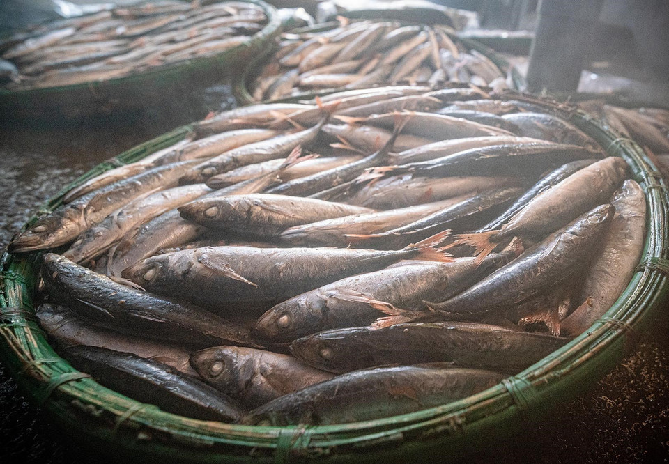 A batch of freshly steamed fish just out of the stove. (Photo: VNA)