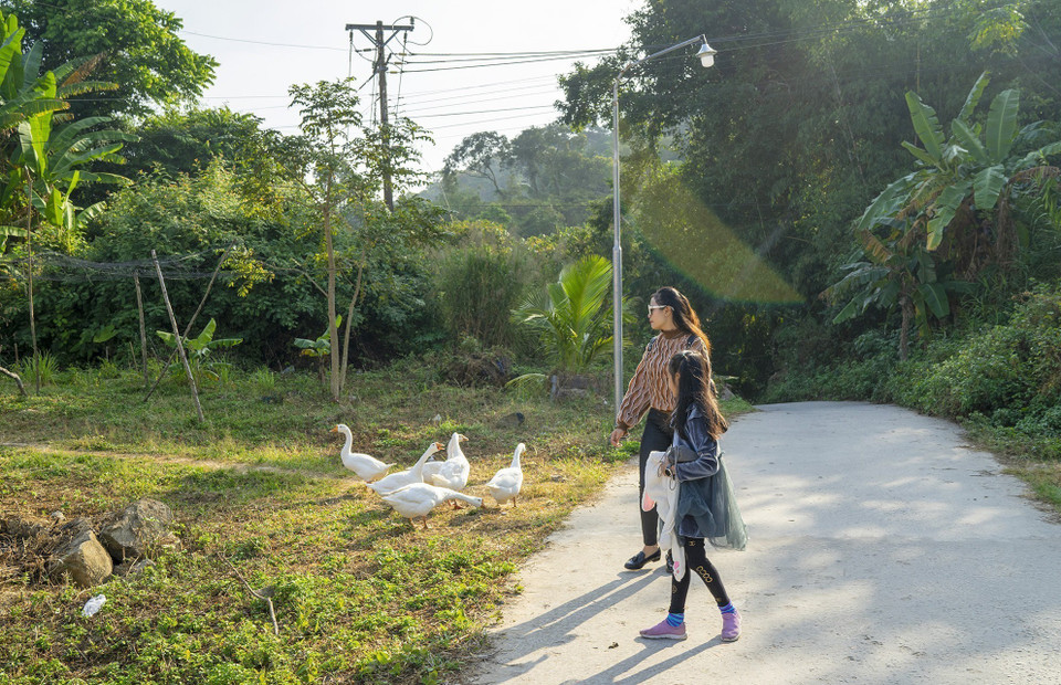 Cam Mountain features stunning landscapes, cool weather, rustic countryside scenery, and the friendly local people, attracting visitors seeking a “slow living” travel experience. (Photo: VNA)
