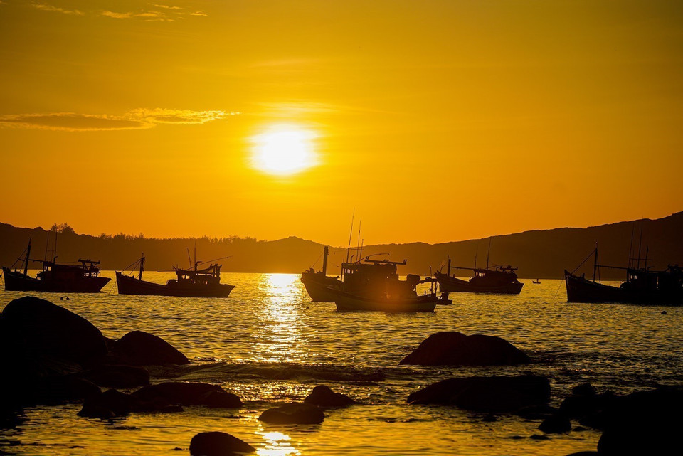 Fishing boats of all sizes dock at Phuoc Dong fish market each morning, bringing the sea’s bounty ashore. (Photo: VNA)